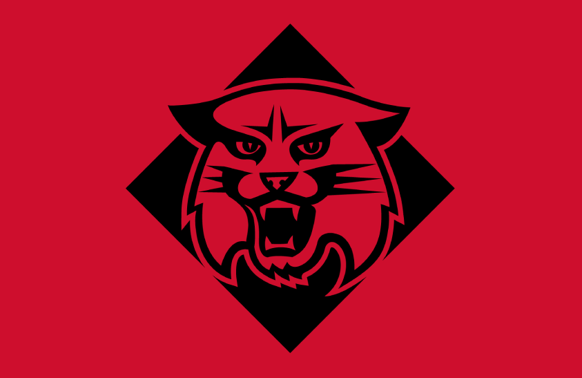 Davidson Wildcats 2021 Helmet Logo diy iron on heat transfer